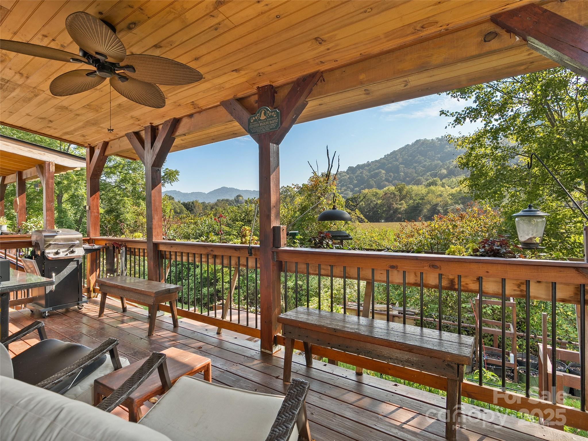 254 February Lane Waynesville, NC 28785 - Photo 10 of 24