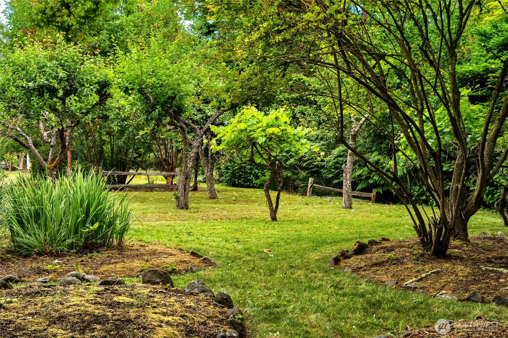3360 Green Road Oak Harbor, WA 98277 - Photo 29 of 35 a view of yard with tree