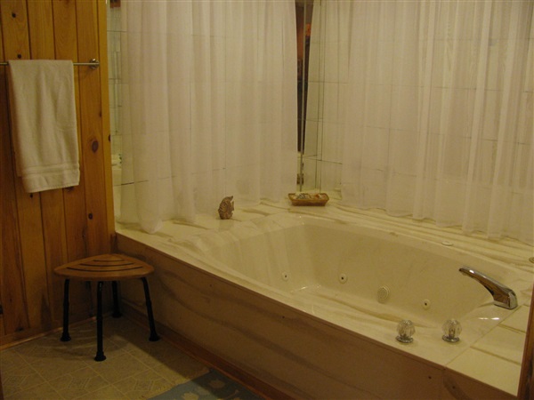 4305 Supinlick Ridge Road Mount Jackson, VA 22842 - Photo 23 of 30 a bathroom with a tub and a shower curtain