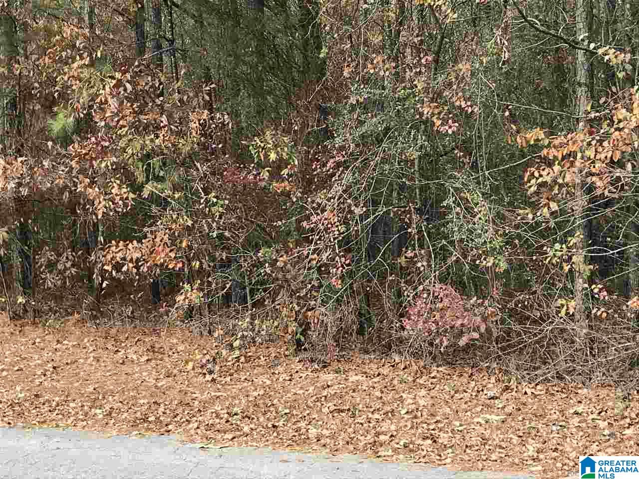 0 Walnut Drive Moody, AL 35004 - Photo 1 of 3