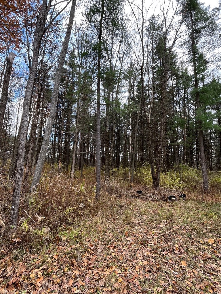 6101 Bishop Corners Road Hector, NY 14841 - Photo 38 of 43