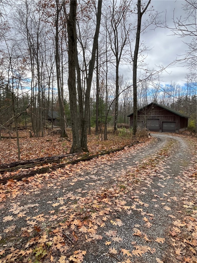 6101 Bishop Corners Road Hector, NY 14841 - Photo 40 of 43