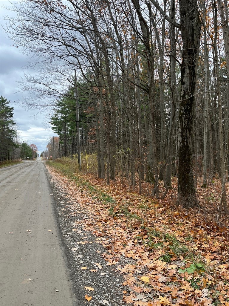 6101 Bishop Corners Road Hector, NY 14841 - Photo 41 of 43