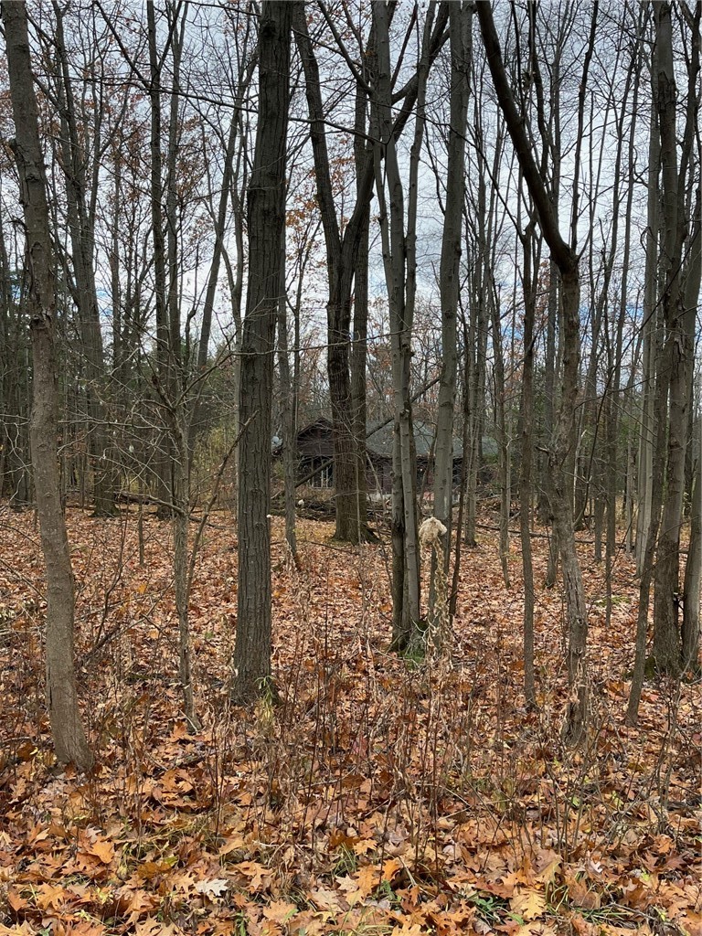 6101 Bishop Corners Road Hector, NY 14841 - Photo 42 of 43