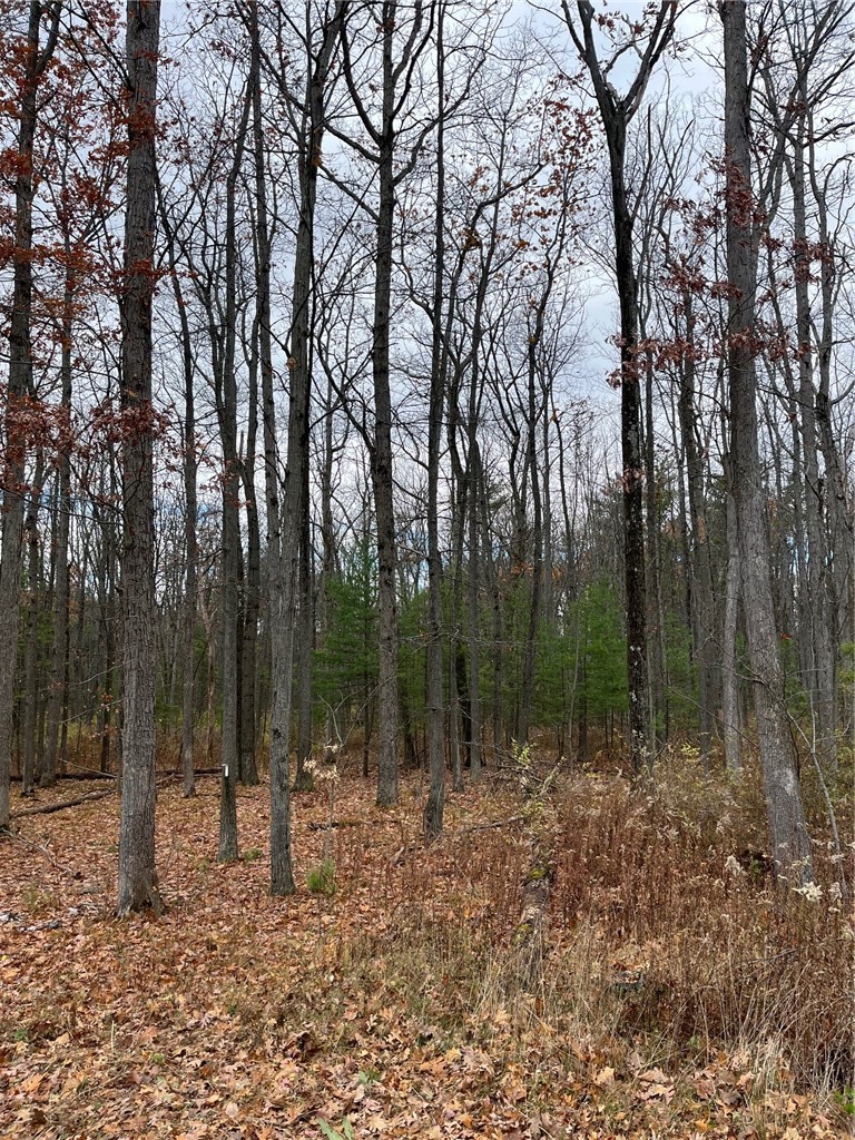 6101 Bishop Corners Road Hector, NY 14841 - Photo 43 of 43