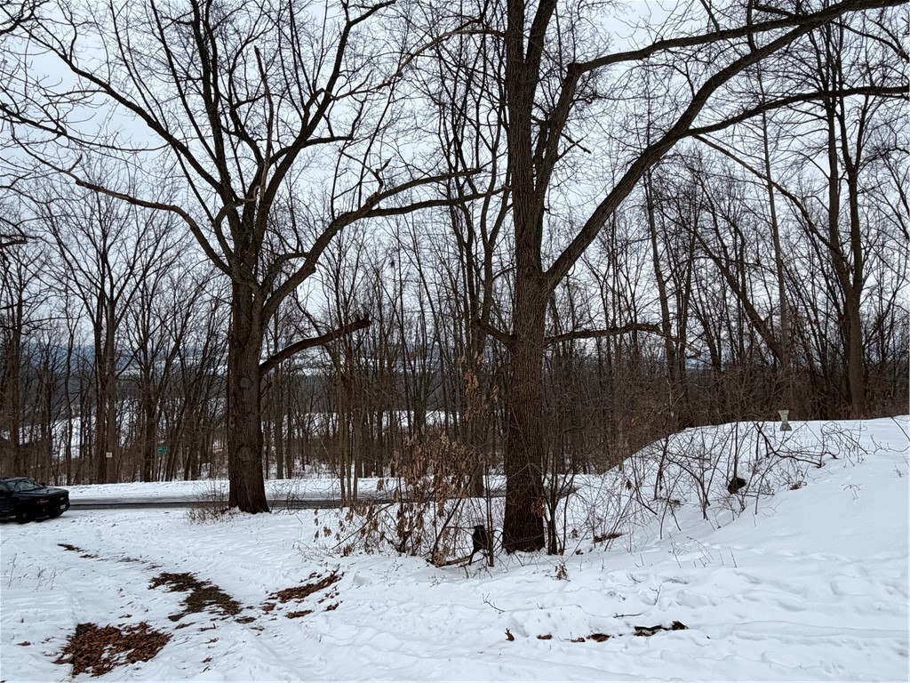 5379 Bath Road Groveland, NY 14462 - Photo 4 of 5 View towards road
