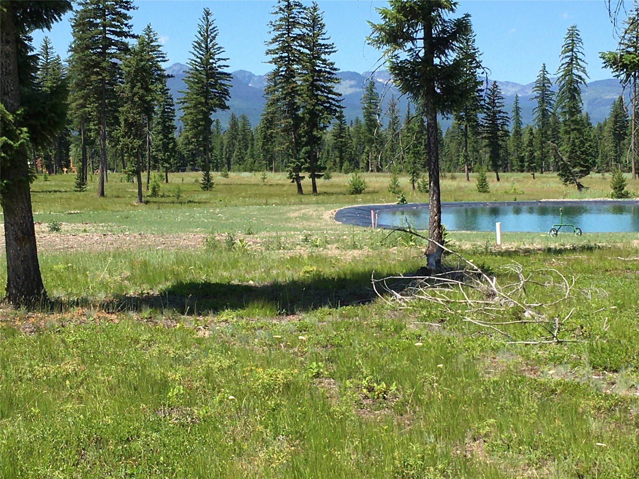 865 Remicks Road Condon, MT 59826 - Photo 3 of 23 Gallery Image 3