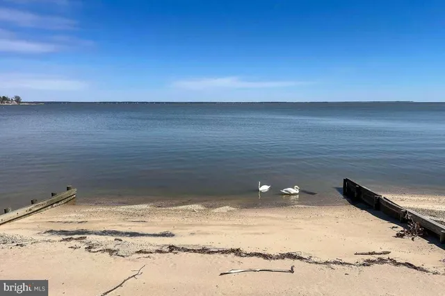 a view of an ocean beach
