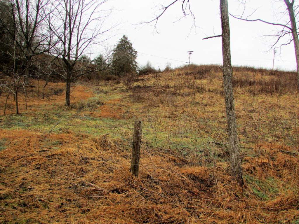 321 & Campbell Road Butler, TN 37640 - Photo 2 of 8 Photo 2