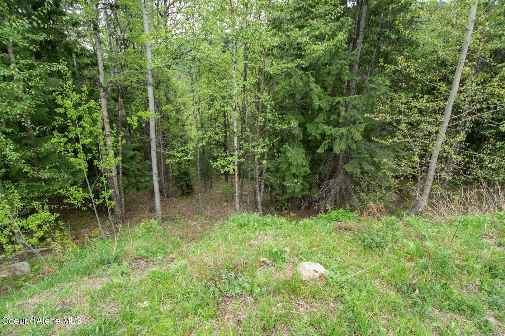 2884 Morris Road Naples, ID 83847 - Photo 42 of 50 2884Morris00042