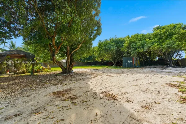 a view of a yard with plants and trees