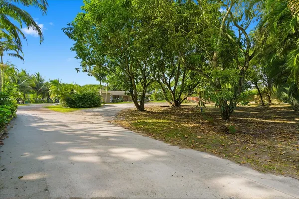 a view of tree with a house