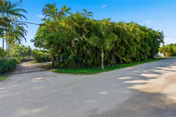 a view of a yard with potted plants and large trees