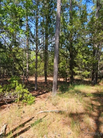 a view of backyard of a house