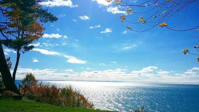 $1,074,000 | 4231 Wildwood Lane, Moran, MI 49760