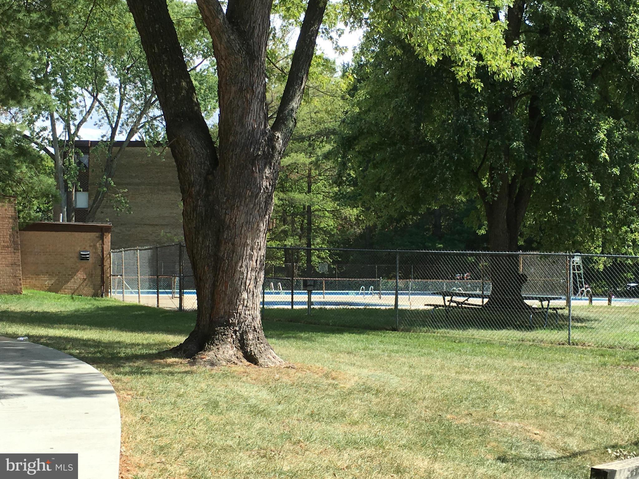 3832 Bel Pre Road, Unit 11109 Silver Spring, MD 20906 - Photo 8 of 11 Community pool