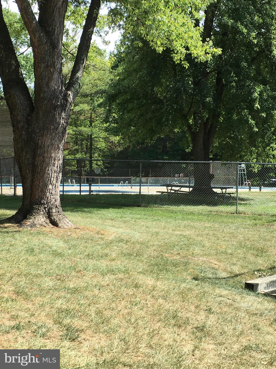 3832 Bel Pre Road, Unit 11109 Silver Spring, MD 20906 - Photo 9 of 11 Community picnic area and pool