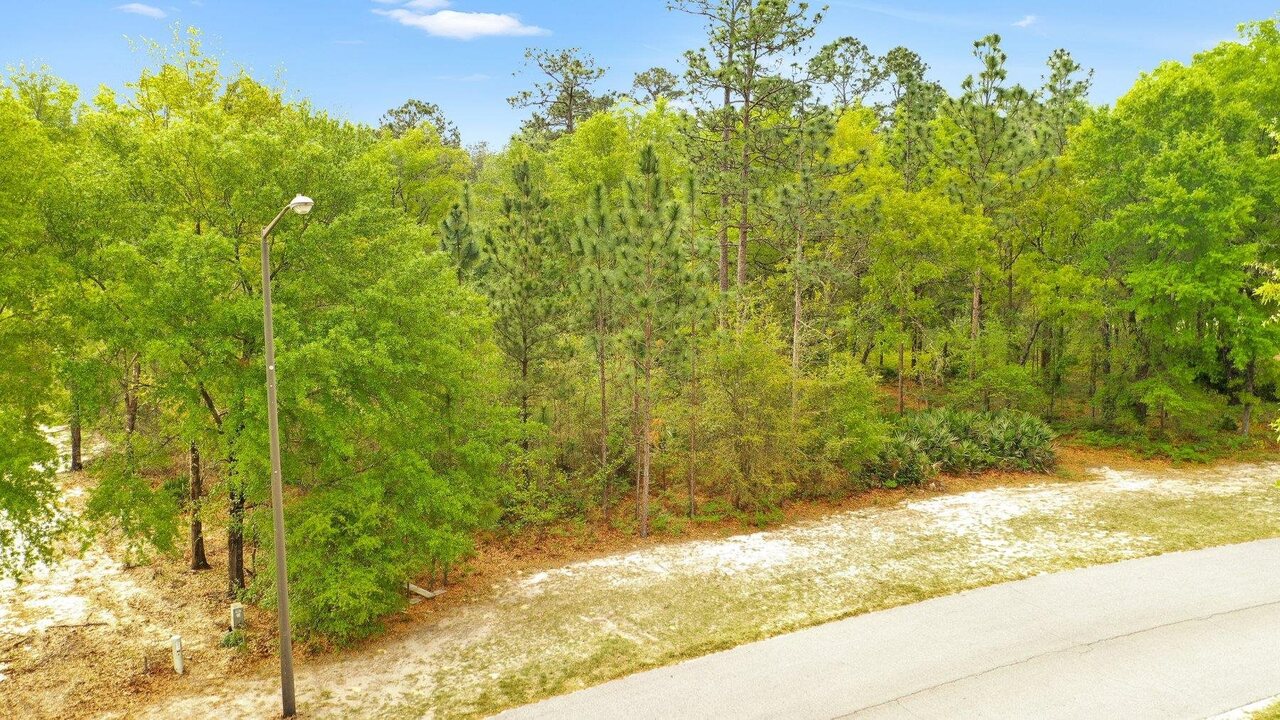 107 Mingledorff Court Springfield, GA 31329 - Photo 1 of 1 Gallery Image 1