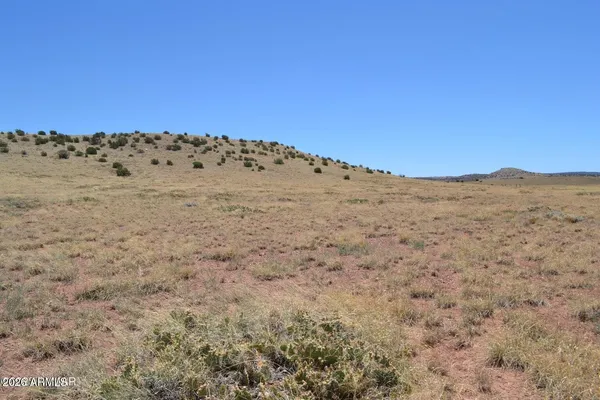 $35,000 | Lot 863 Acr N8497, Unit 863, Chambers, AZ 86502