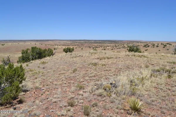 $35,000 | Lot 863 Acr N8497, Unit 863, Chambers, AZ 86502