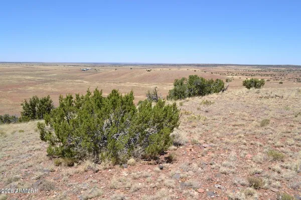 $35,000 | Lot 863 Acr N8497, Unit 863, Chambers, AZ 86502