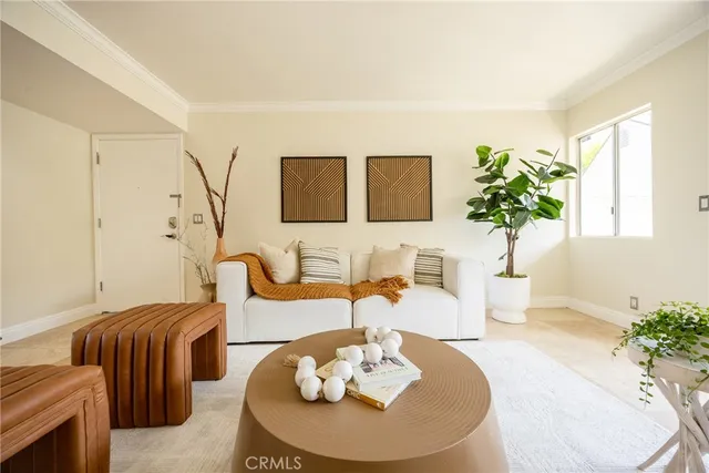 a living room with furniture flowerpot and a window