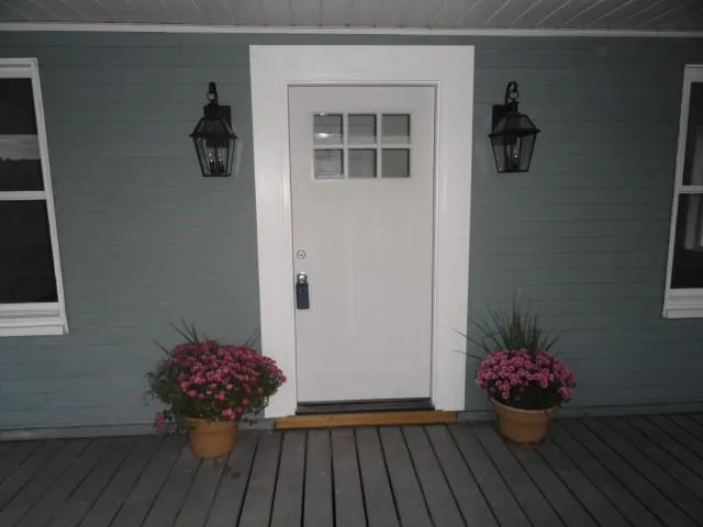 a room with wooden floor and a potted plant