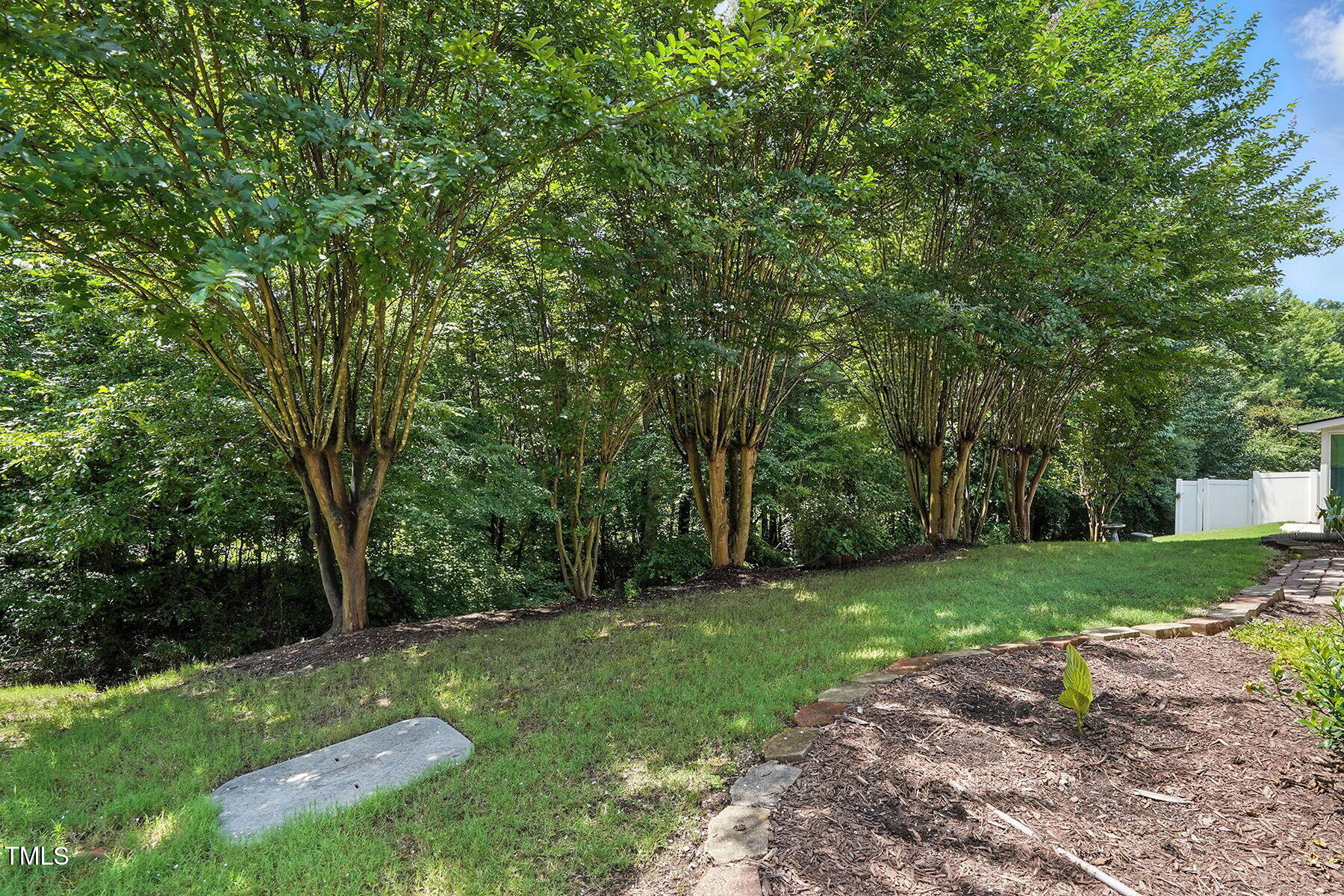 5421 Brandy Bay Road Raleigh, NC 27613 - Photo 25 of 25 a view of a park with large trees