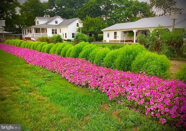 a view of a house with a yard and potted plants