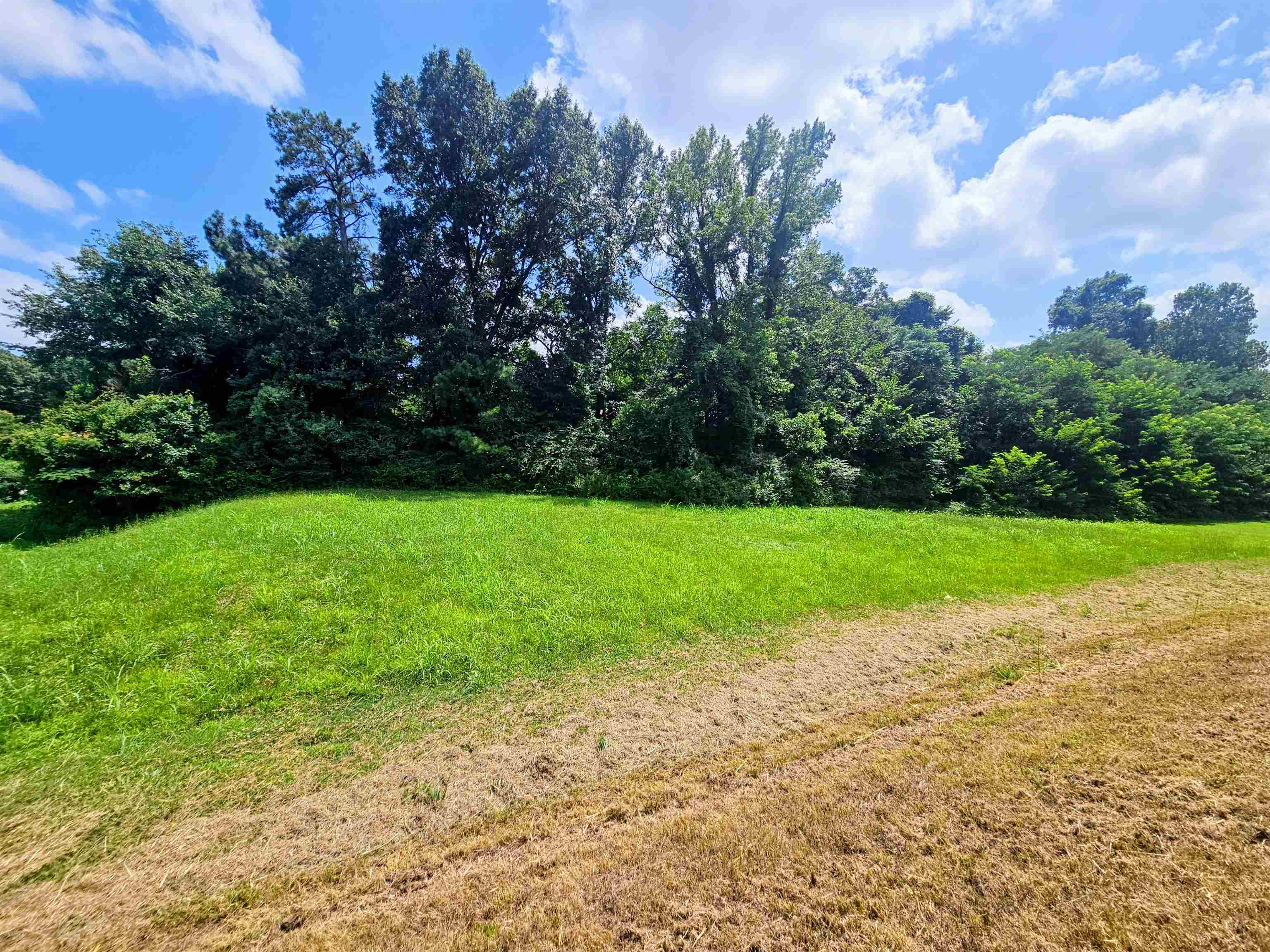 3563 Boxtown Road Memphis, TN 38109 - Photo 3 of 3