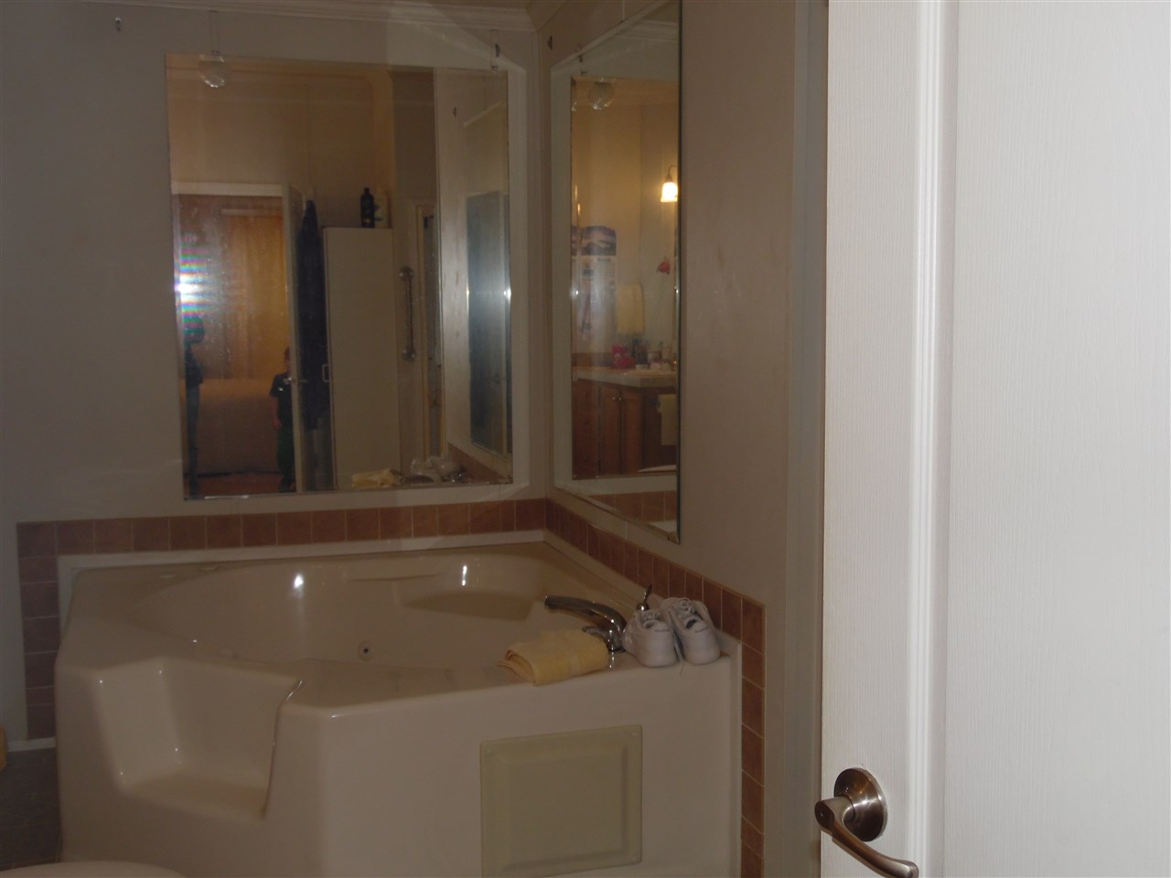 343 Ladd Road Fishersville, VA 22939 - Photo 21 of 44 Jacuzzi tub and standing shower