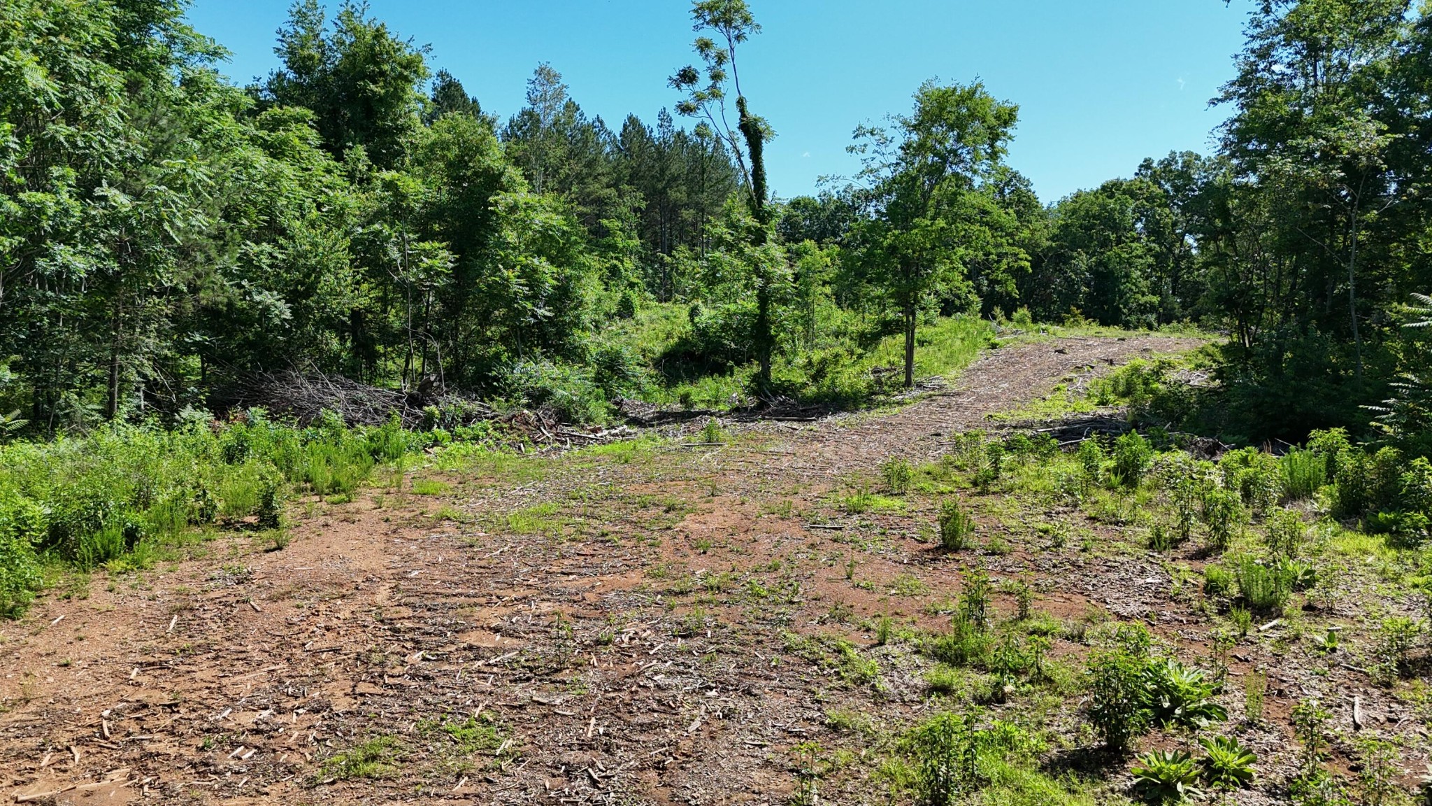 2 Lamontville Road Calhoun, TN 37309 - Photo 3 of 18 Gallery Image 3