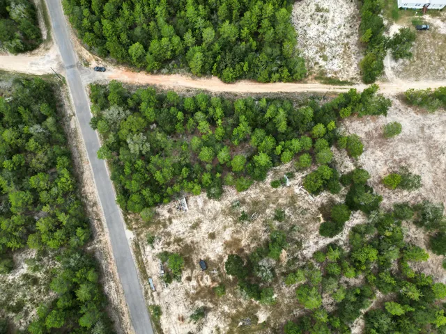 a view of a yard with plants