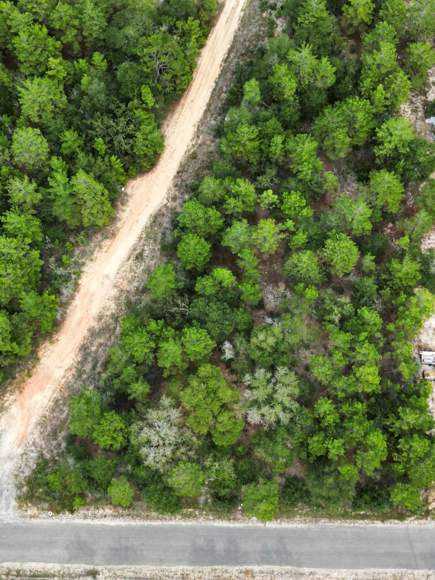 Lot 5 Beethoven Circle DeFuniak Springs, FL 32433 - Photo 4 of 9 a view of a yard with plants