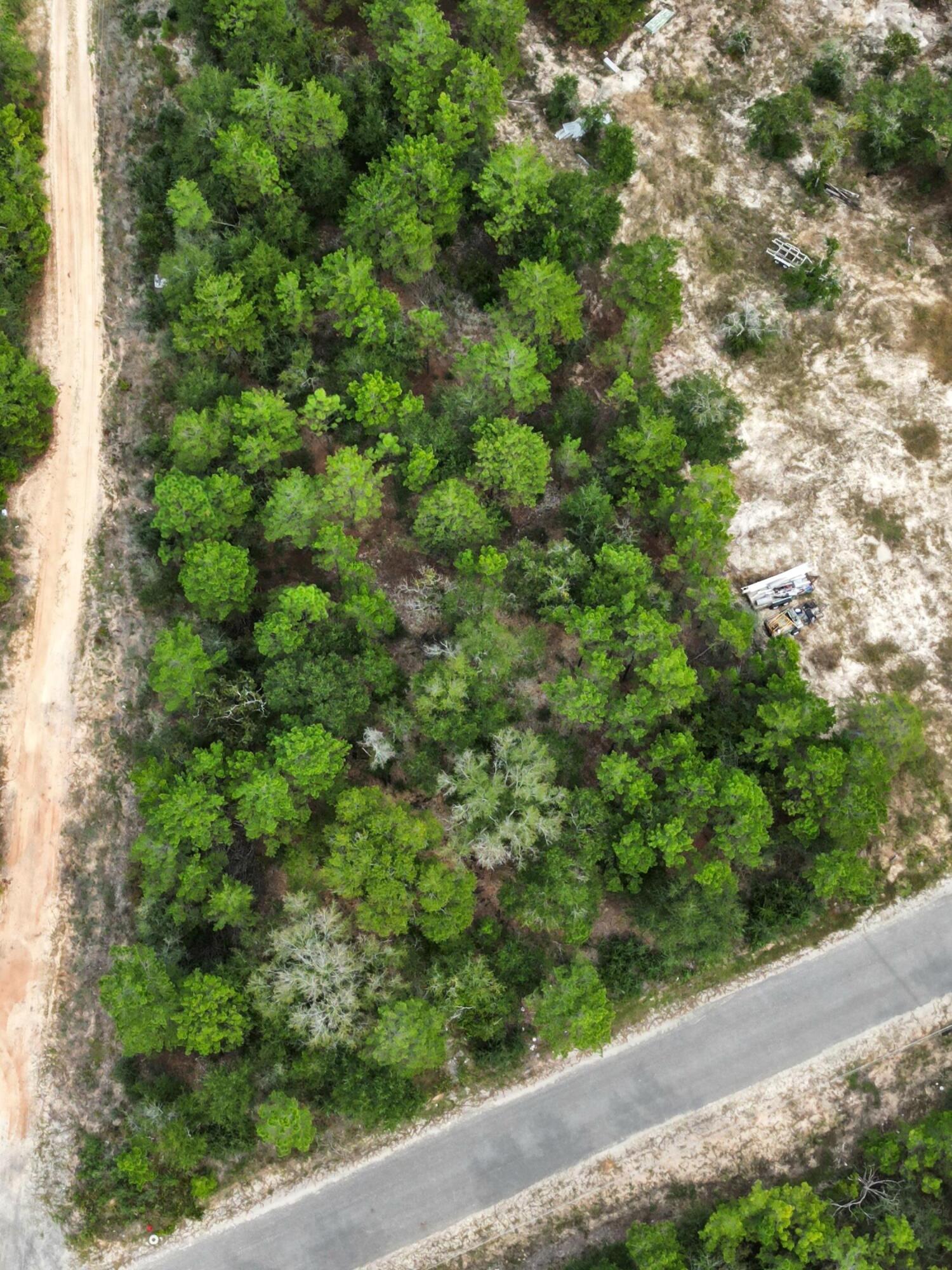 Lot 5 Beethoven Circle DeFuniak Springs, FL 32433 - Photo 5 of 9 a view of a garden with a plant