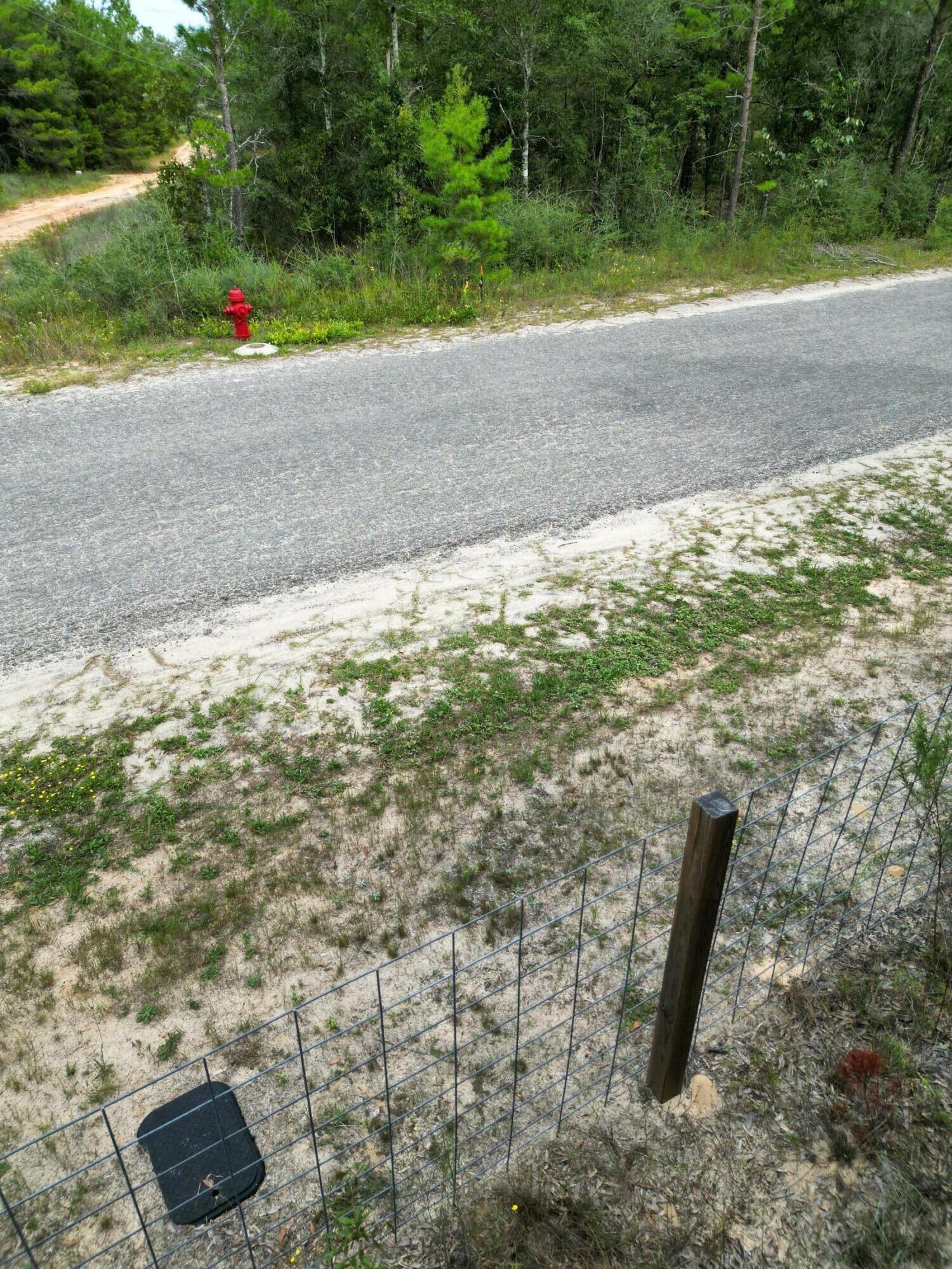 Lot 5 Beethoven Circle DeFuniak Springs, FL 32433 - Photo 9 of 9 a backyard of a house with lots of green space