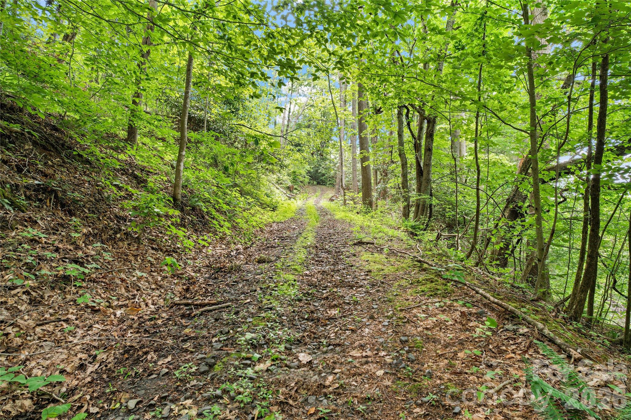 000 Bee Branch Road, Unit 14AC Bakersville, NC 28705 - Photo 14 of 19