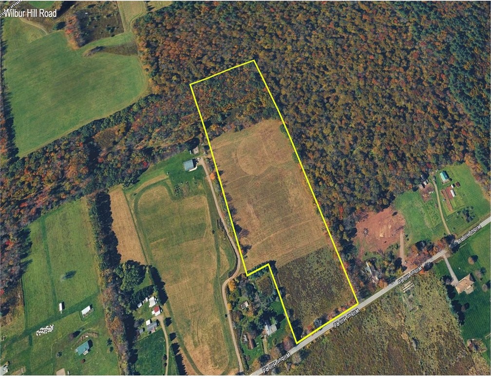Wilbur Hill Road Unadilla, NY 13849 - Photo 6 of 7