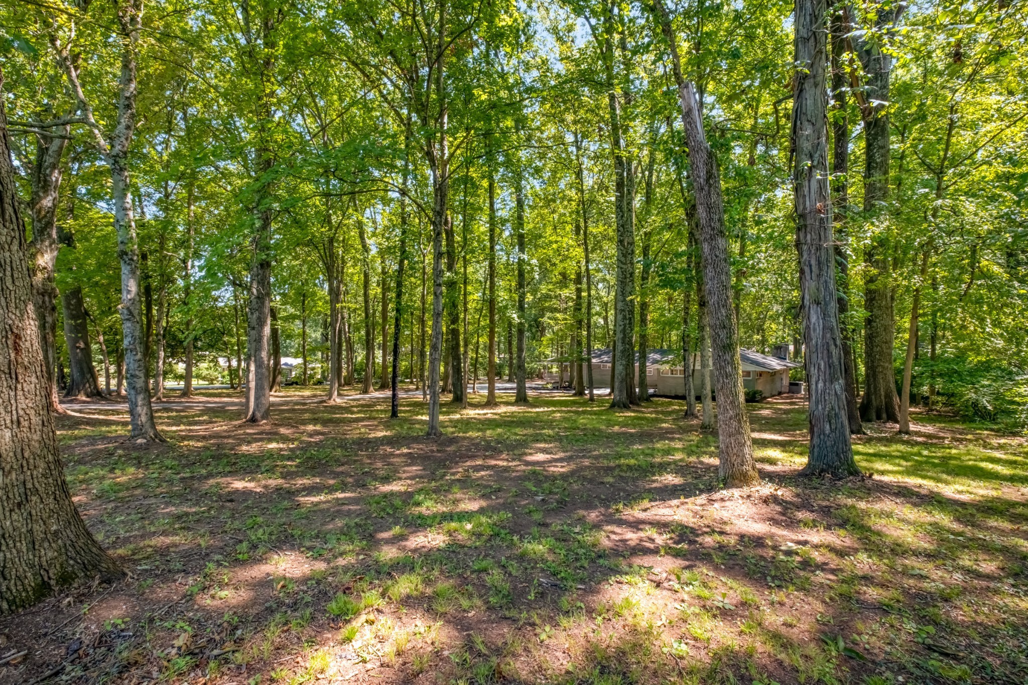 401 Davidson Road Nashville, TN 37205 - Photo 11 of 30 Gallery Image 11