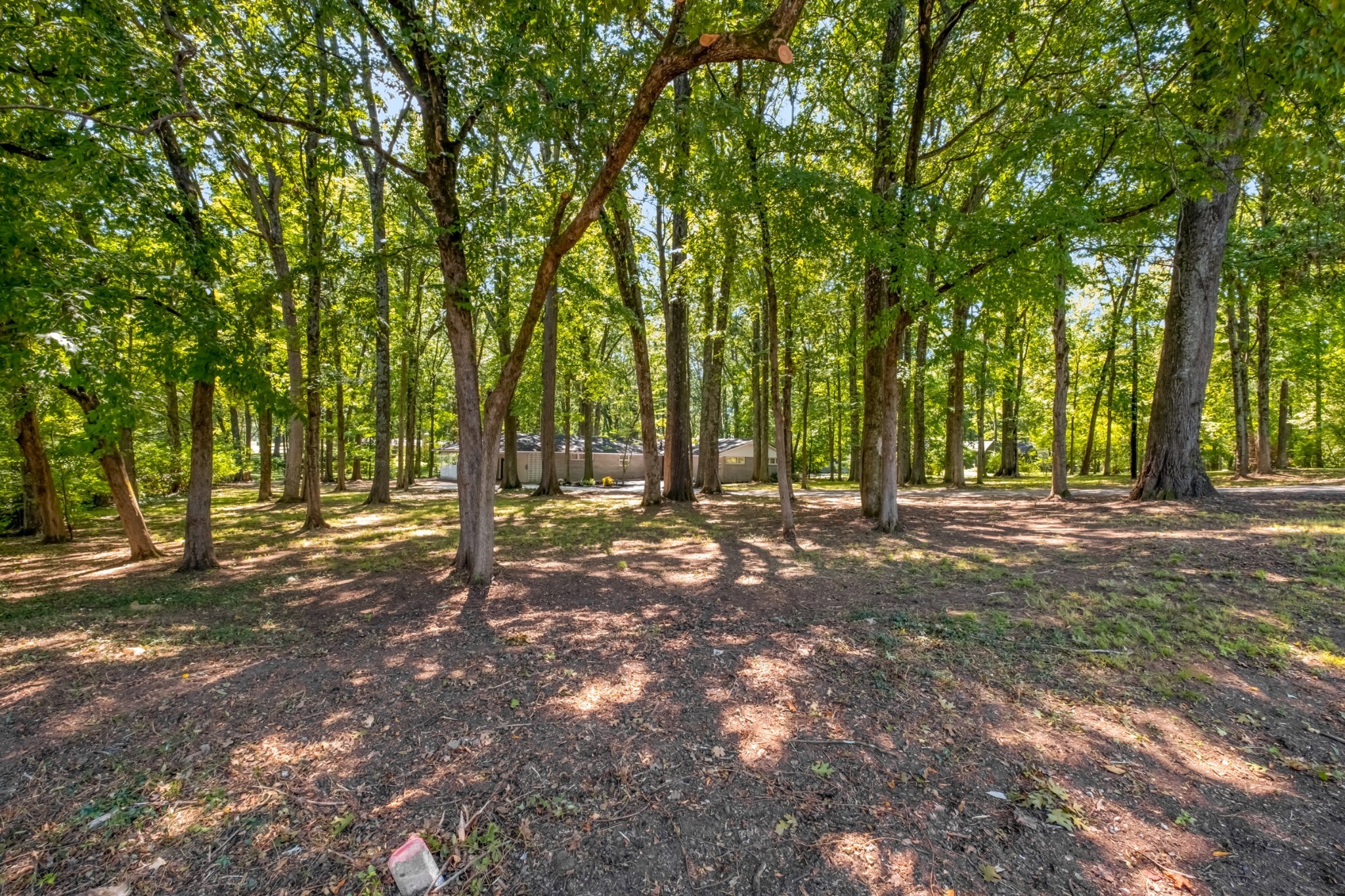 401 Davidson Road Nashville, TN 37205 - Photo 8 of 30 Gallery Image 8