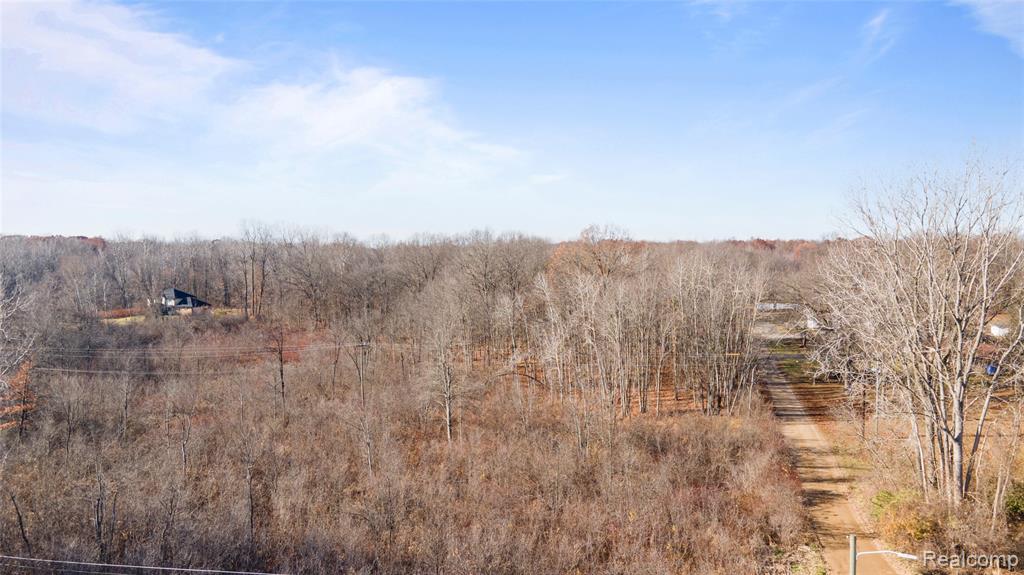 23901 Sumpter Road Belleville, MI 48111 - Photo 12 of 15