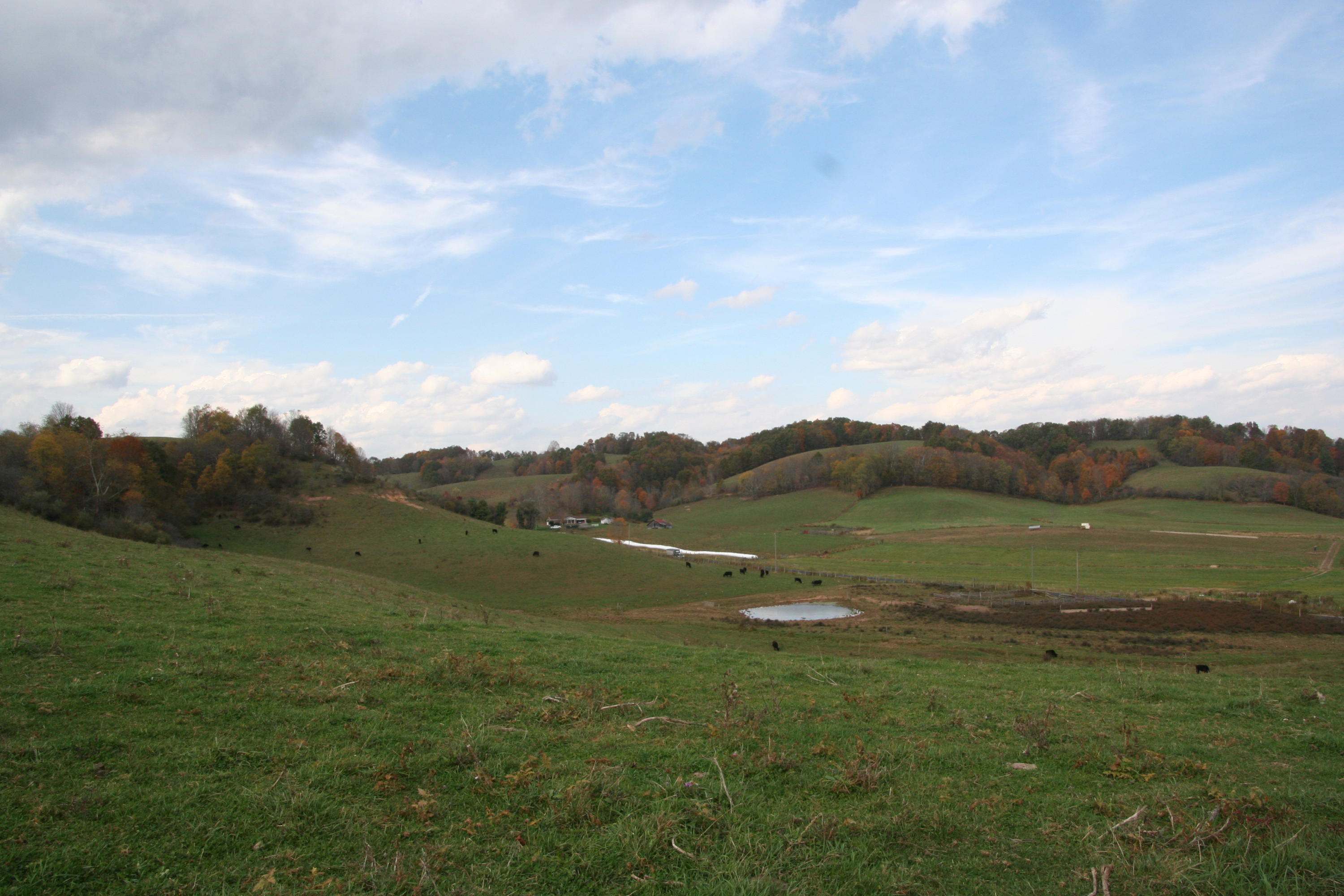 1302 Dawson Lk Road Meadow Bridge, WV 25976 - Photo 1 of 6 Gallery Image 1