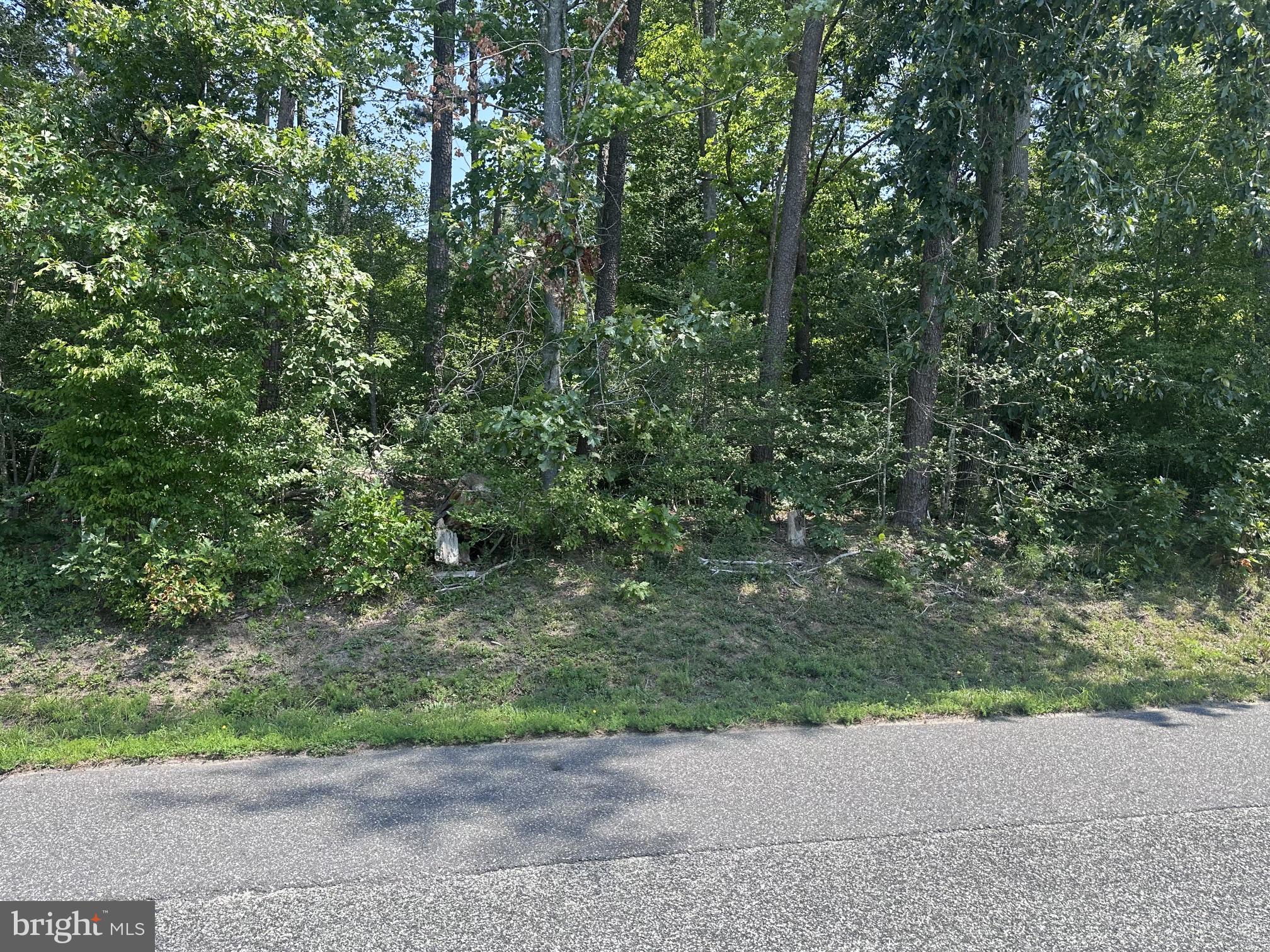 Lot view
