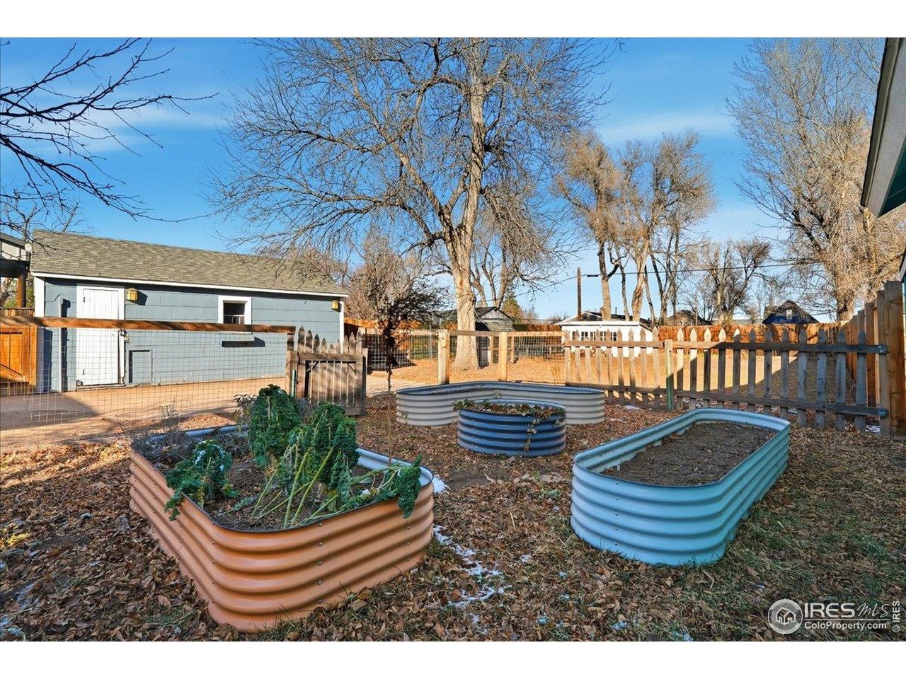 806 East Myrtle Street Fort Collins, CO 80524 - Photo 38 of 50 Raised garden beds. Perennials include Lavender, Hibiscus, two Honeysuckle bushes and two Apple trees.
