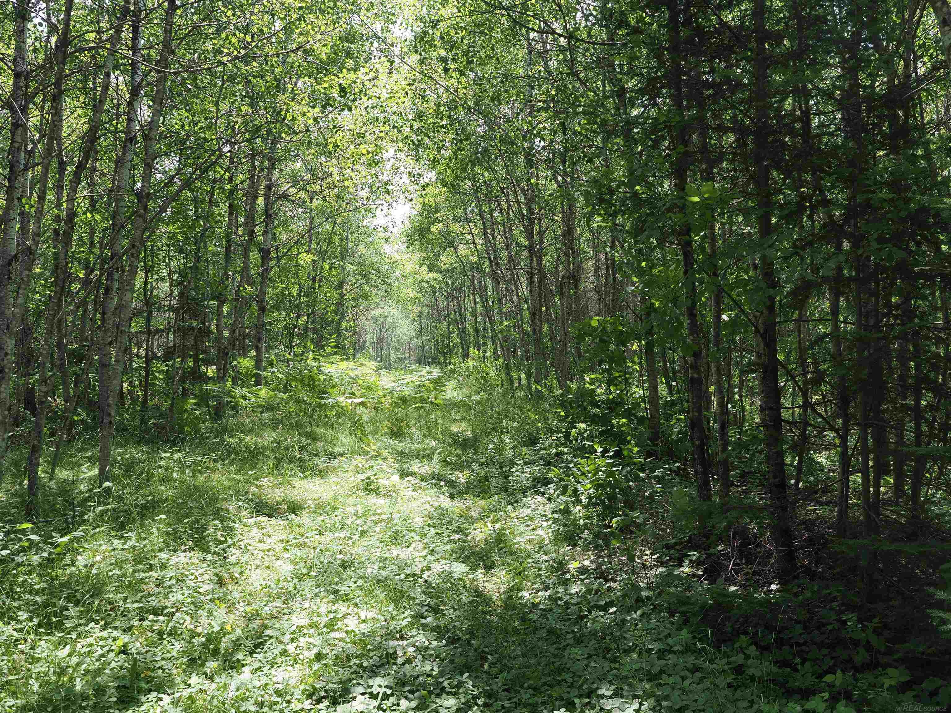 0 County Road Ishpeming, MI 49849 - Photo 26 of 85