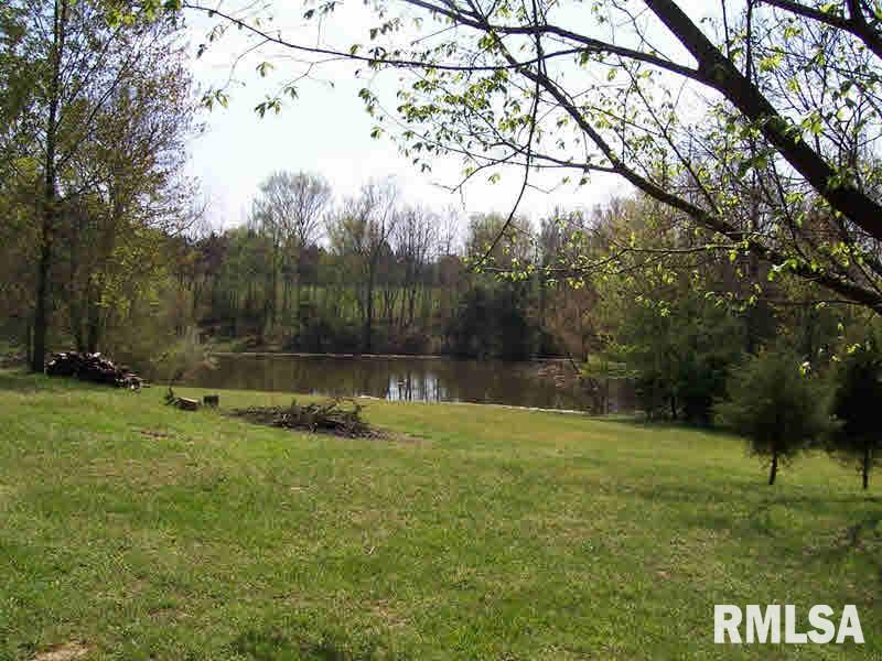 7065 State Rt 37 Goreville, IL 62939 - Photo 4 of 13 Gallery Image 4