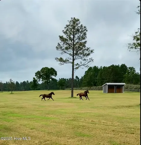 $2,395,000 | 146 Jean Marie Lane, Vass, NC 28394