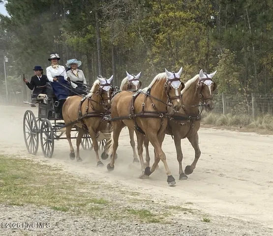 $2,395,000 | 146 Jean Marie Lane, Vass, NC 28394