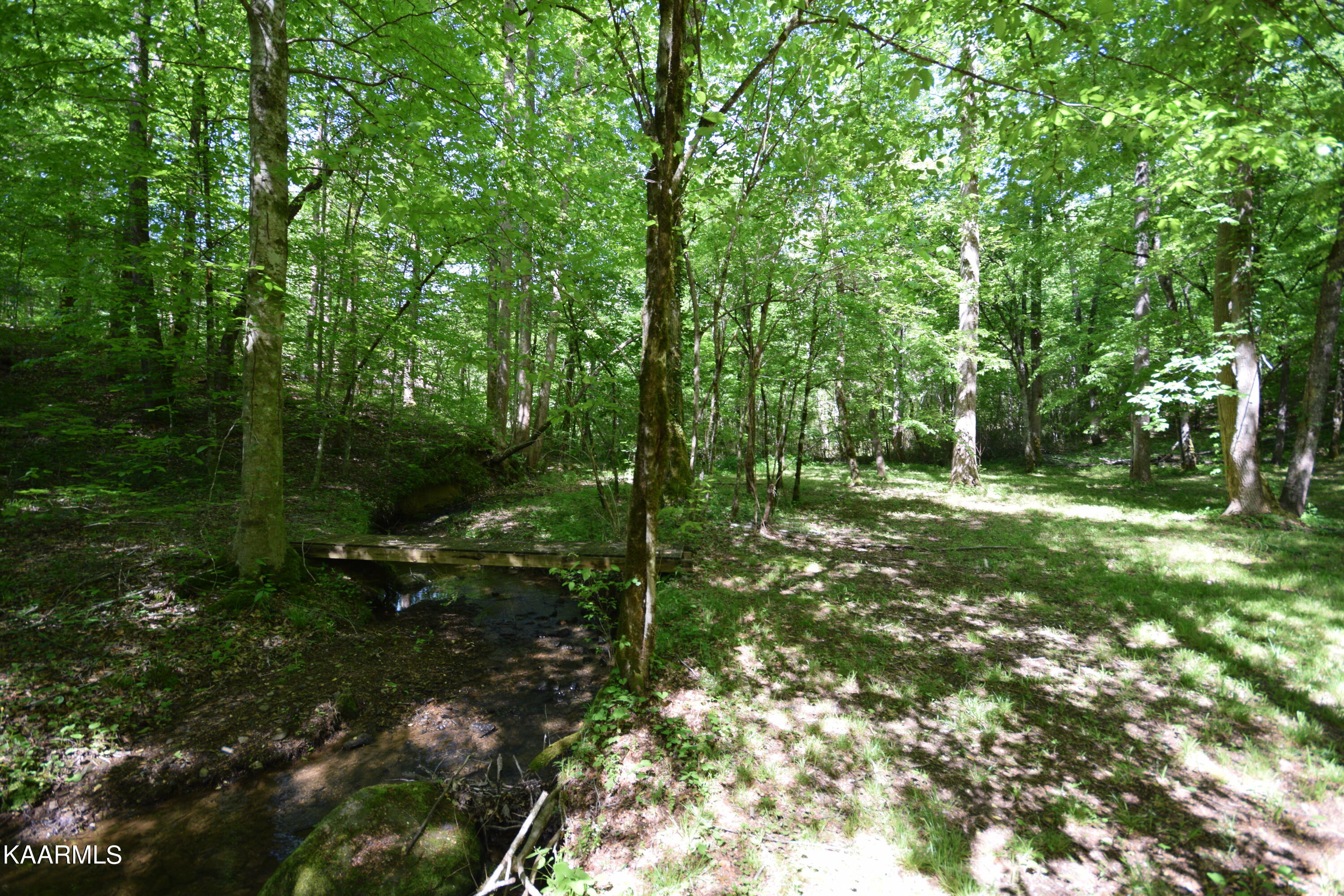 Lot 3 Long Branch Road Townsend, TN 37882 - Photo 4 of 6 DSC_3506