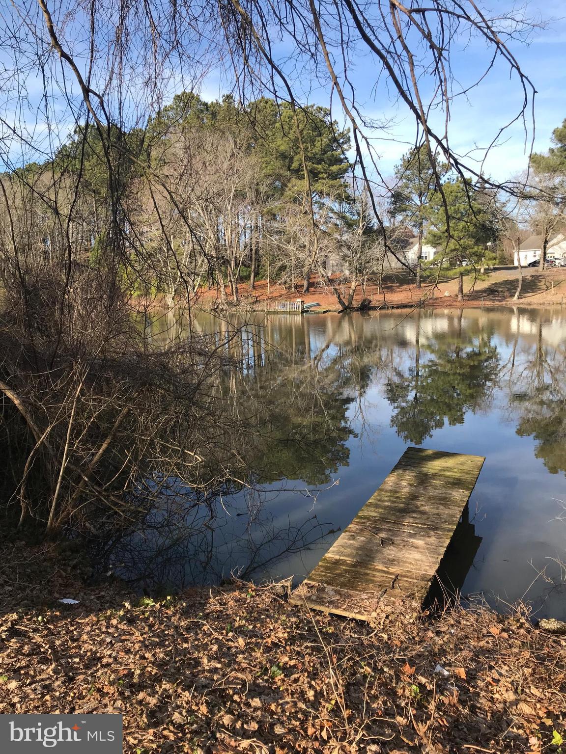 pond view